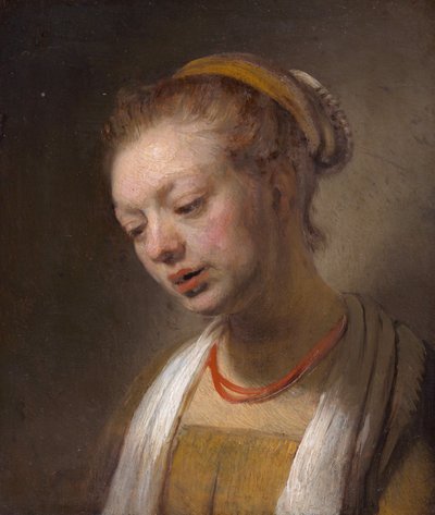 Junge Frau mit roter Halskette von Rembrandt van Rijn